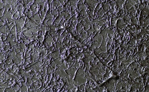 Textured Geomembrane -TDS